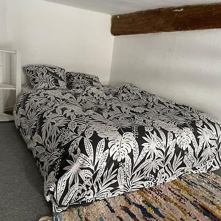 Appartement De Caractere Au Coeur Du Centre-Ville Montpellier Esterno foto