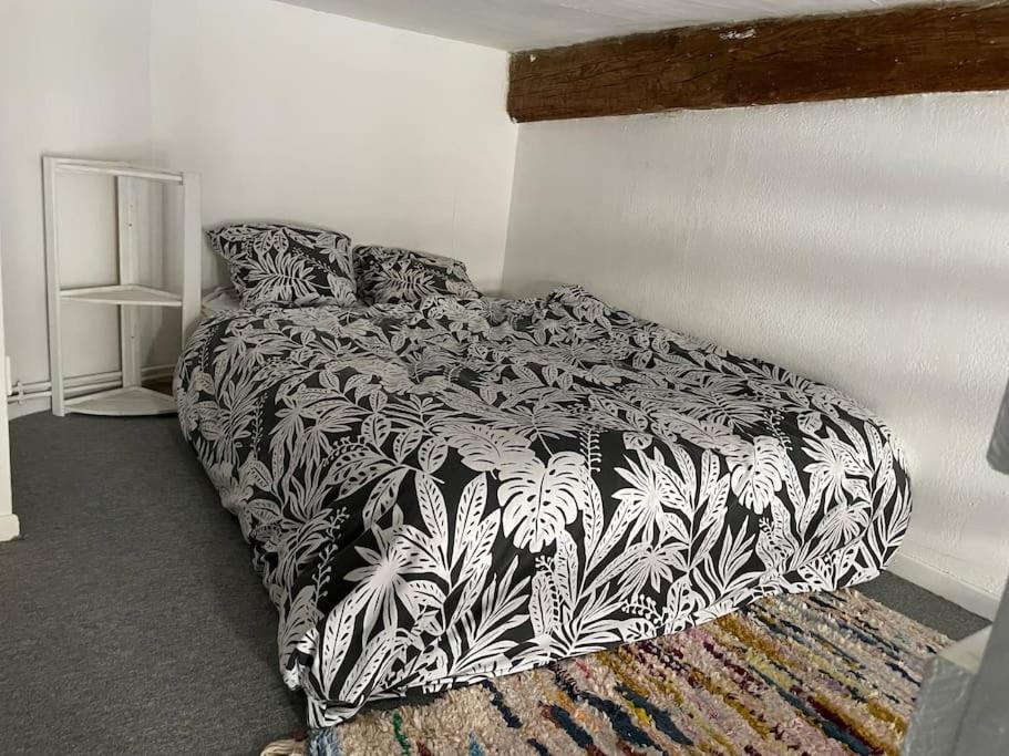 Appartement De Caractere Au Coeur Du Centre-Ville Montpellier Esterno foto